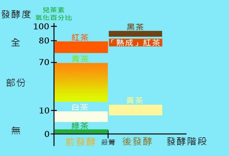 你的茶「熟成」了嗎？